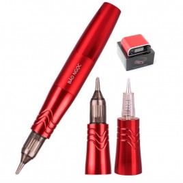 Máy Pen 2 đầu phun xăm